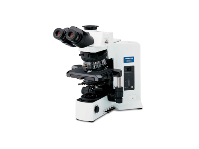 정자정밀분석기